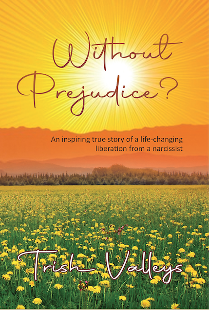 Without Prejudice by Trish Valleys