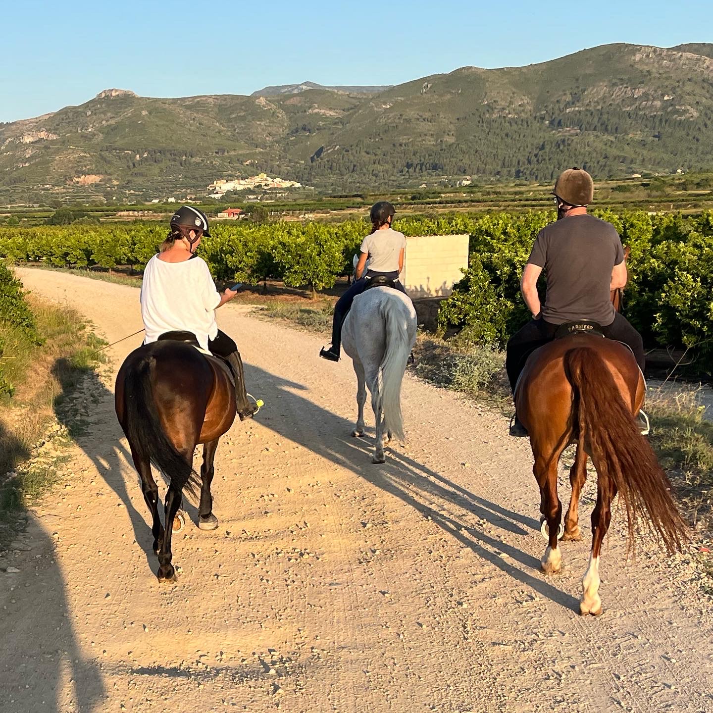 Bel Ontinyent