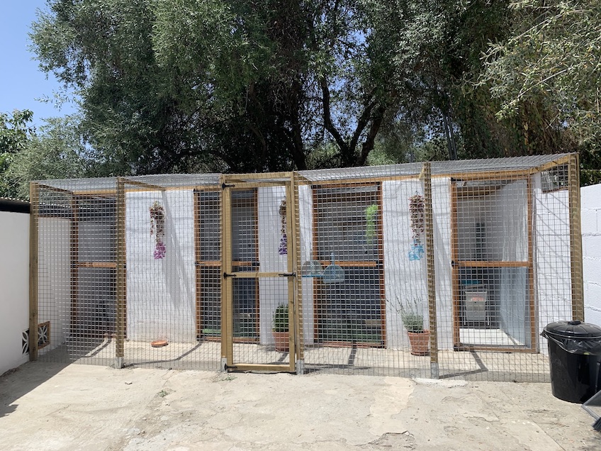 S K Cattery Estepona