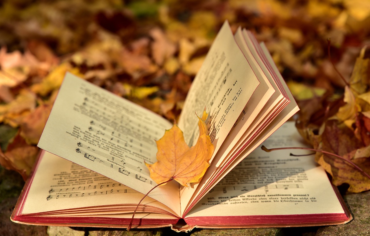 a book, fall, nature-3755514.jpg