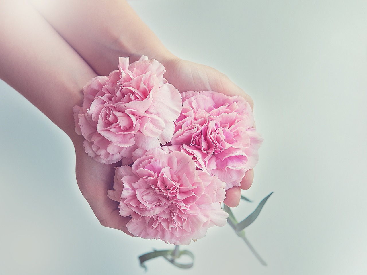 flowers, hands, holding-1367675.jpg