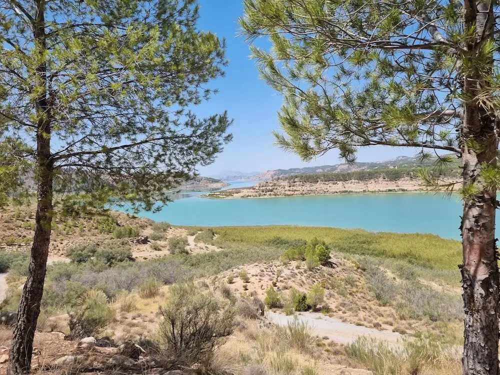 Melanie Kettner Borough