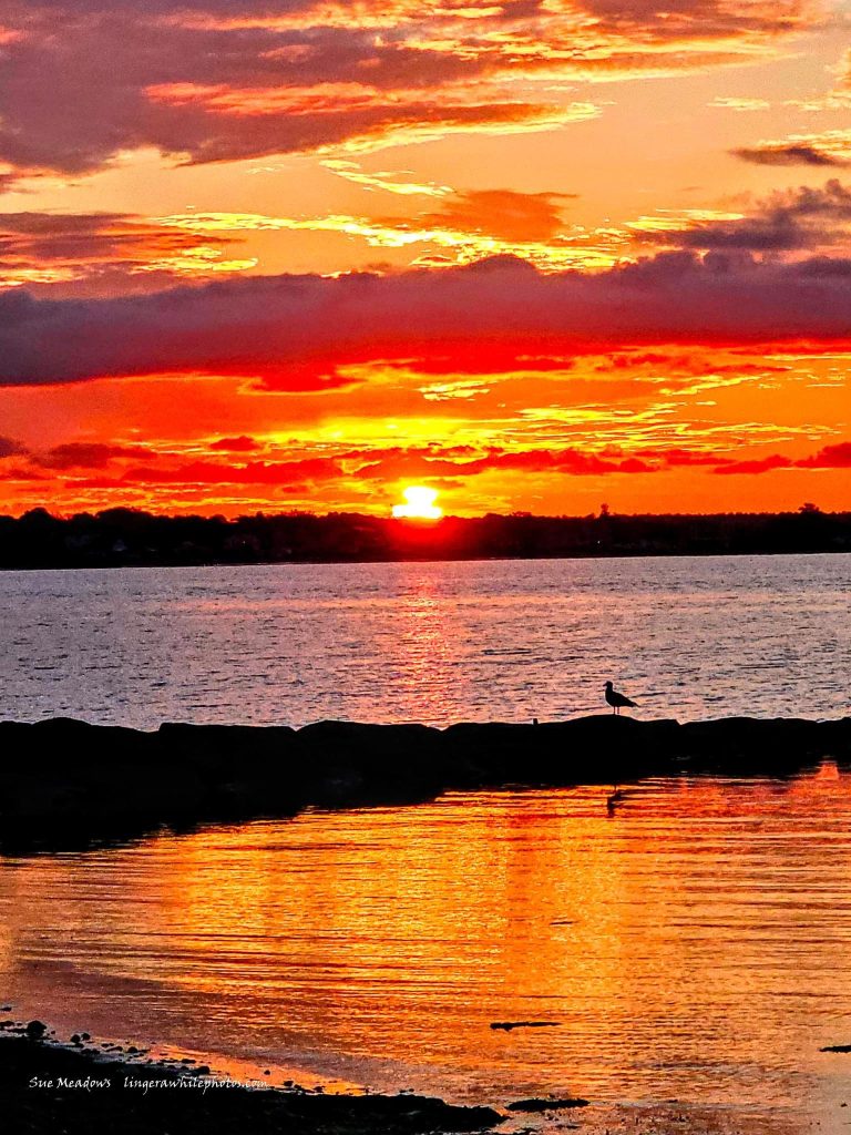 Los Pacos, Fuengirola