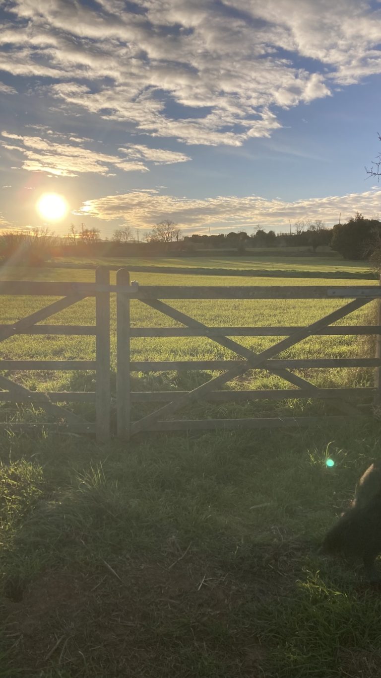 Catriona O’Curry - La Bisbal d’Empordá